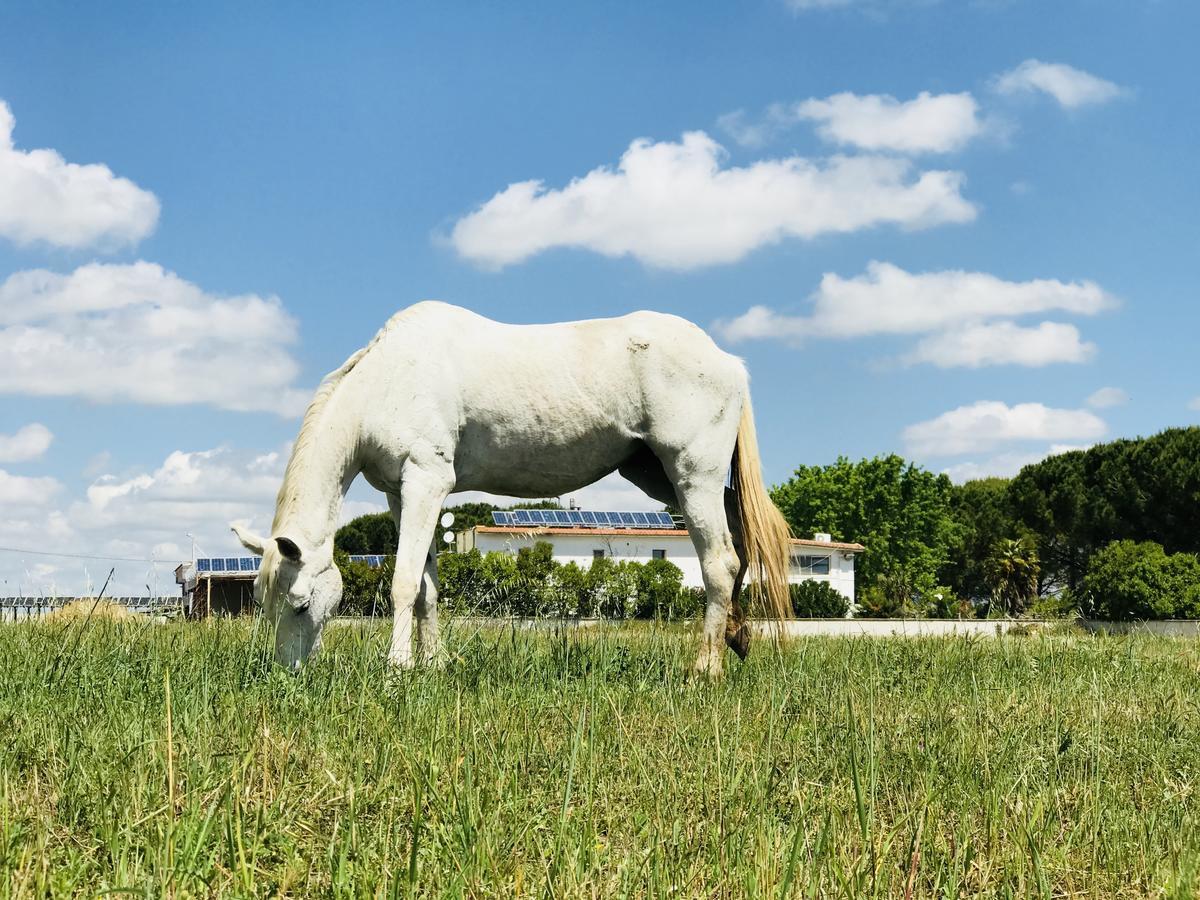 Masseria Nel Sole Hotel Lucera Kültér fotó