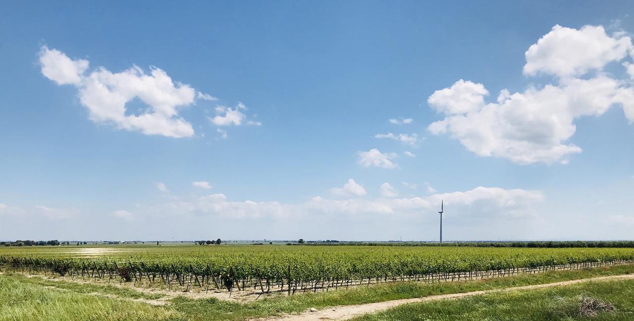 Masseria Nel Sole Hotel Lucera Kültér fotó